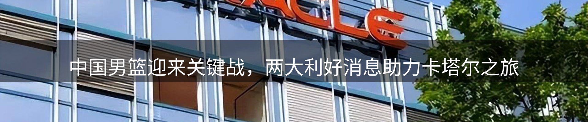 企业动态