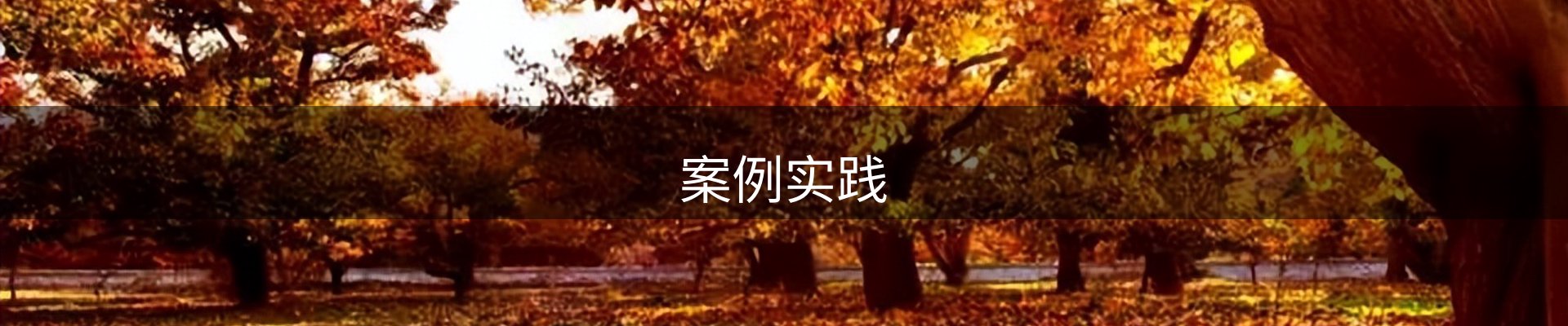 案例实践